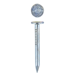 Clout Nail - Galvanised